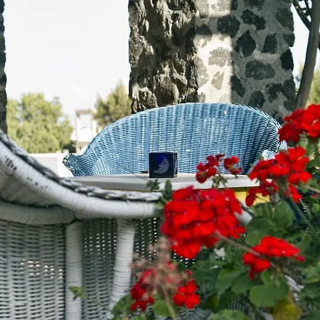 아파트호텔 Birds With Heated Pool - Including Car And Breakfast 4*