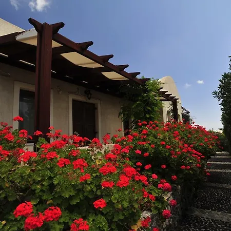 Birds With Heated Pool - Including Car And Breakfast 公寓式酒店