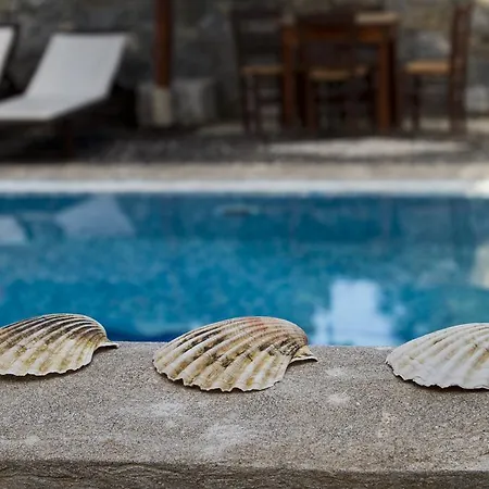 公寓式酒店 Birds With Heated Pool - Including Car And Breakfast