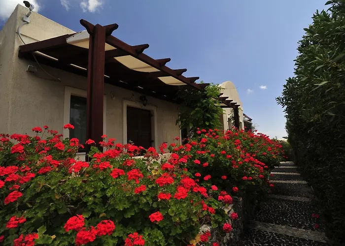 Birds With Heated Pool - Including Car And Breakfast Hotel apartamentowy